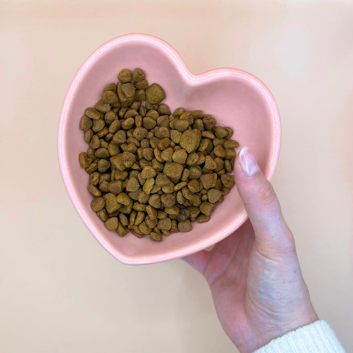 Heart shaped pet bowl