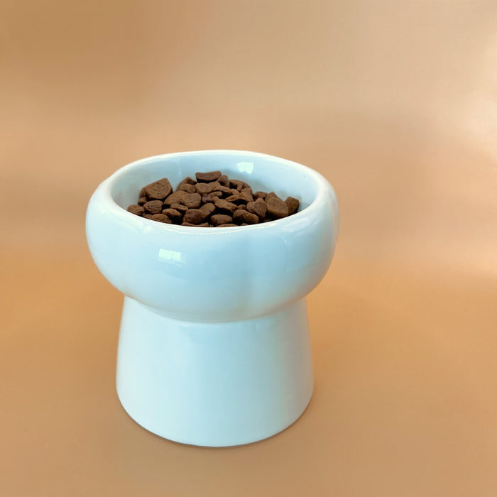 High designer pet bowl