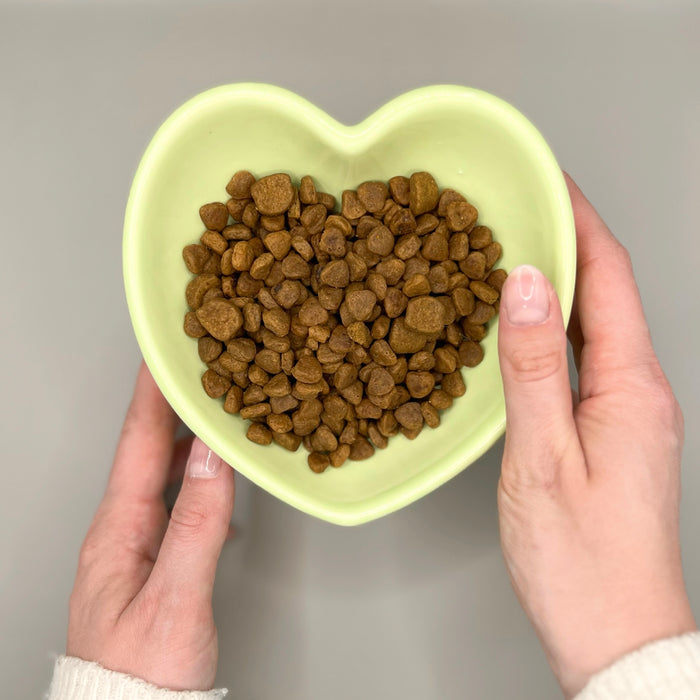 Heart shaped pet bowl