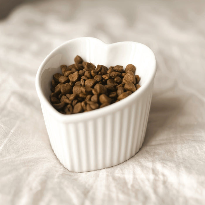 Heart shaped pet bowl