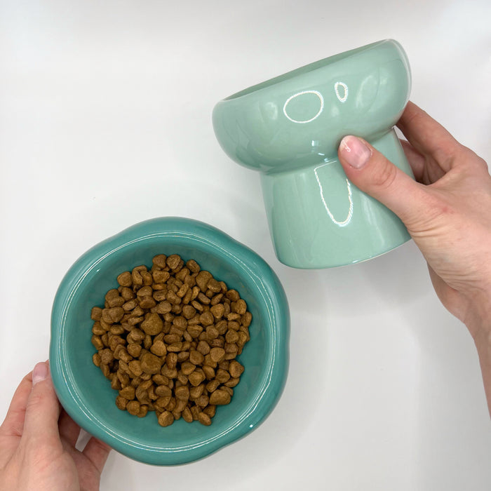 High designer pet bowl