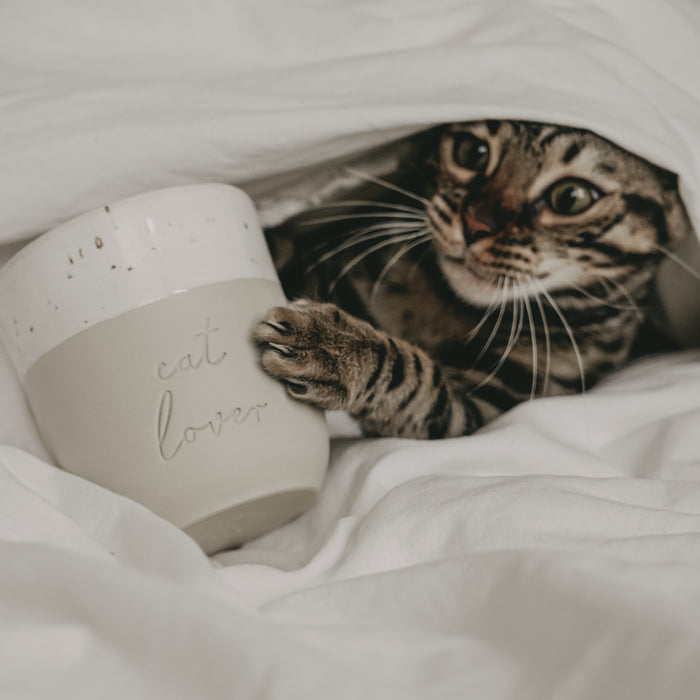 Cat lover mug