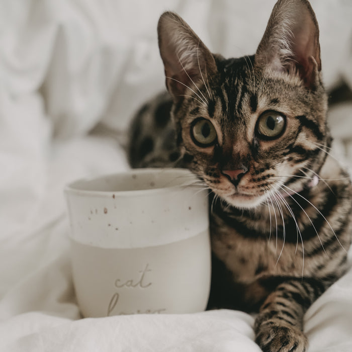 Cat lover mug