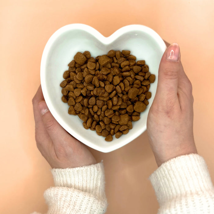 Heart shaped pet bowl